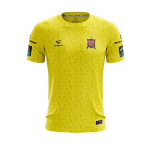 Dundalk FC Goalkeeper Jersey 2023 - Yellow - Kids